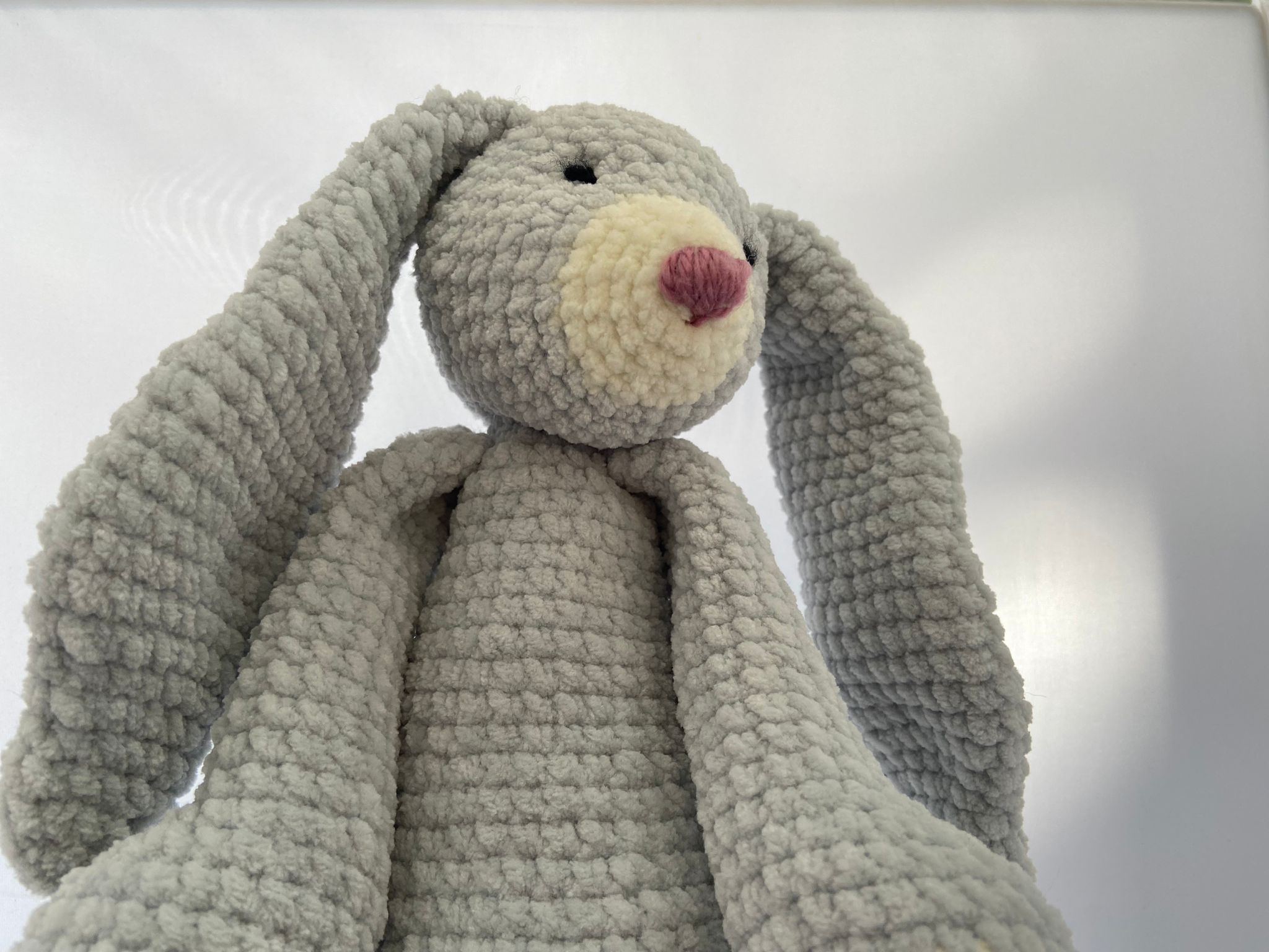 Bunny Rabbit2